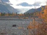 A visit to Skilak Glacier