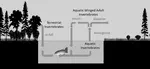 Invertebrate prey contributions to juvenile Coho Salmon diet from riparian habitats along three Alaska streams: Implications for environmental change