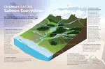 Future of Pacific Salmon in the Face of Environmental Change: Lessons from One of the World's Remaining Productive Salmon Regions